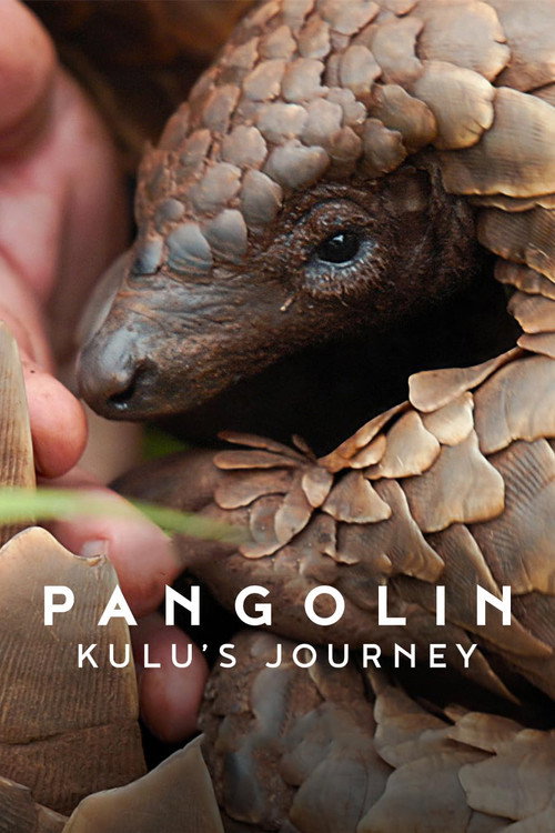 Pangolin: Kulu’s Journey (2025) Pangolin: การเดินทางของคูลู